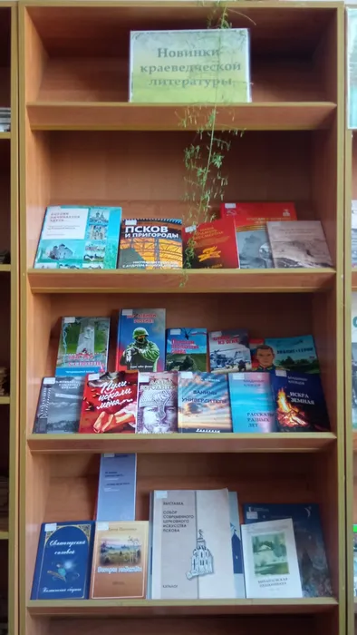 изображение_2026-03-10_151519821