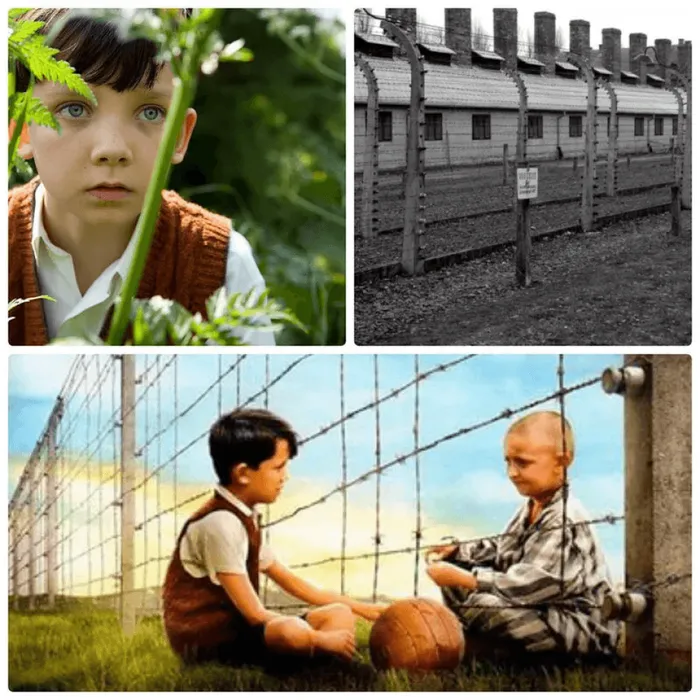 В Новоржевском РДК состоялся кинопоказ  художественного фильма " к Дню памяти жертв холокоста"