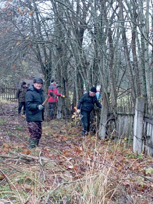 изображение_2025-11-27_165050698