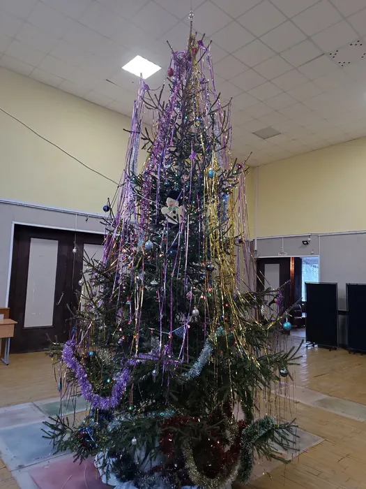 изображение_2025-12-29_130921209