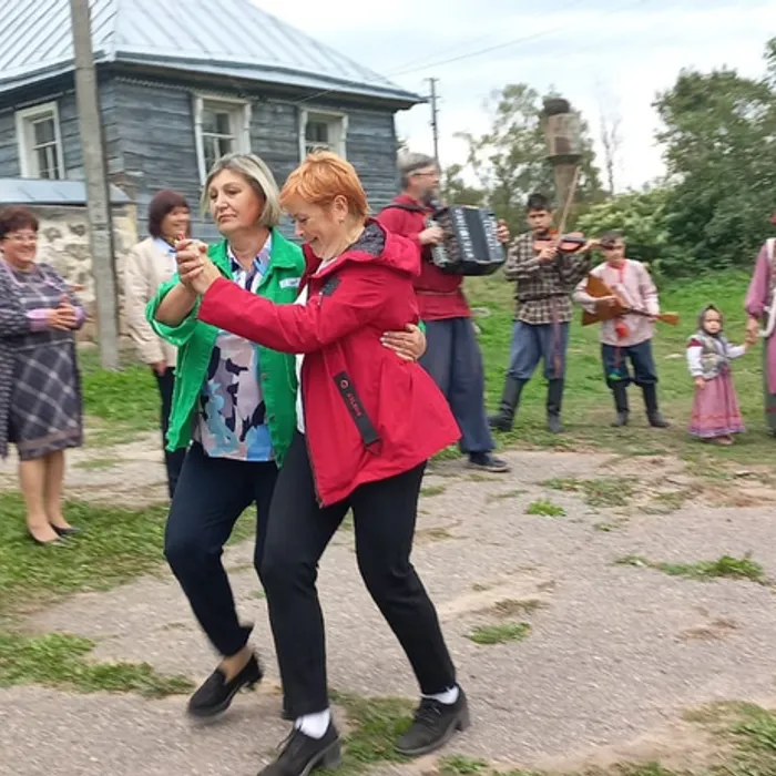 Наши специалисты приняли участие в методическом дне на базе Вельского СДК