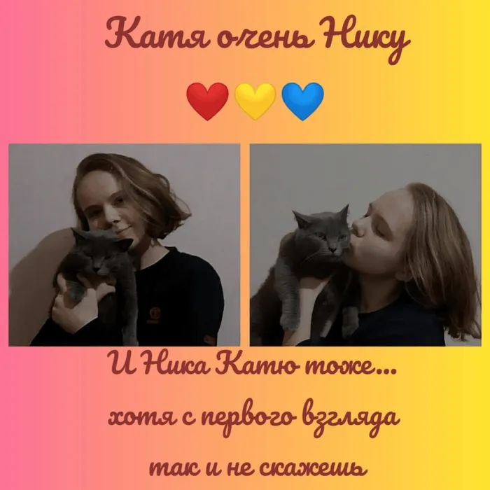 День кошек и котов