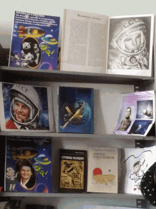 Книжная выставка в Вехнянской с/библиотеке