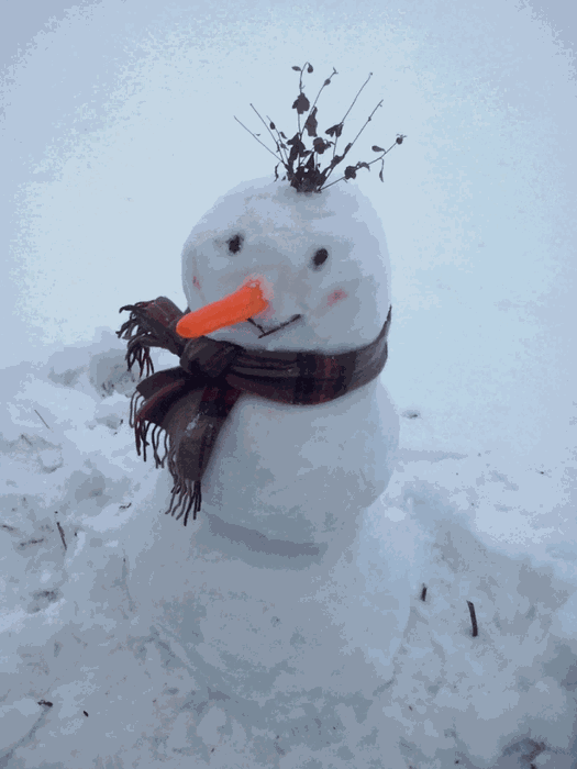 Снеговик "Борюсик" от Татьяны Пчёлиной и её сынишки